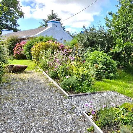 The Rockhouse - Cosy Stone Built Thatch Cottage Dungloe Ngoại thất bức ảnh